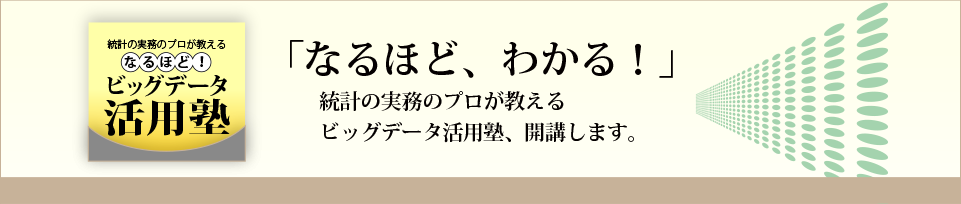 ビッグデータ活用塾