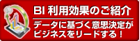 BI利用効果のご紹介