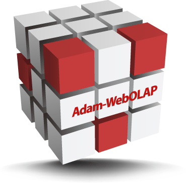 Adam-WebOLAP 製品イメージ