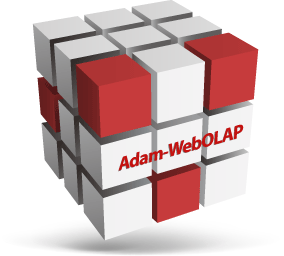 Adam-WebOLAP 特長イメージ