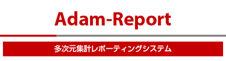 多次元集計レポーティングシステム Adam-Report