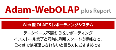 Web型OLAP＆レポーティング Adam-WebOLAP plus Report